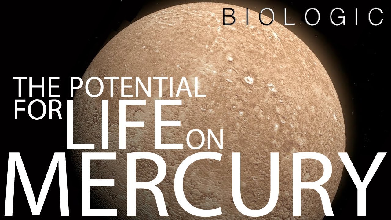 The Potential for Life on Mercury
