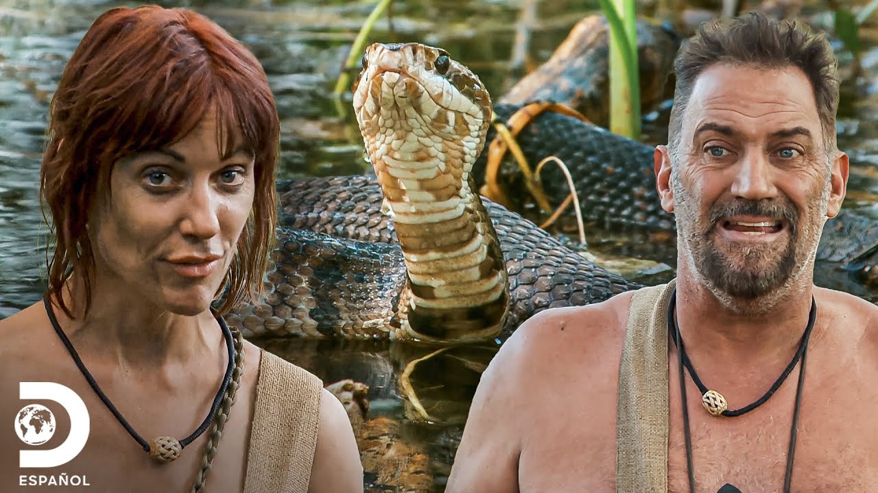 Cruzan lugar lleno de víboras | Supervivencia al desnudo: edición extrema | Discovery en Español