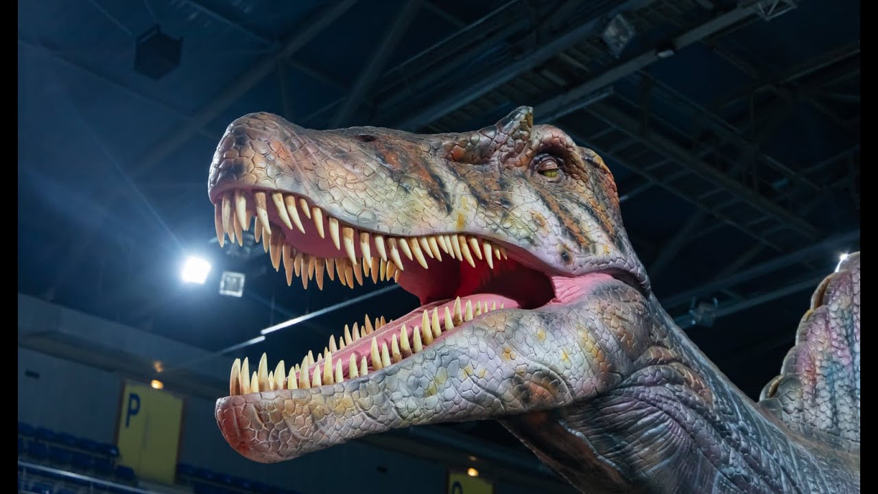 Le Musée Ephémère: les dinosaures arrivent dans votre ville