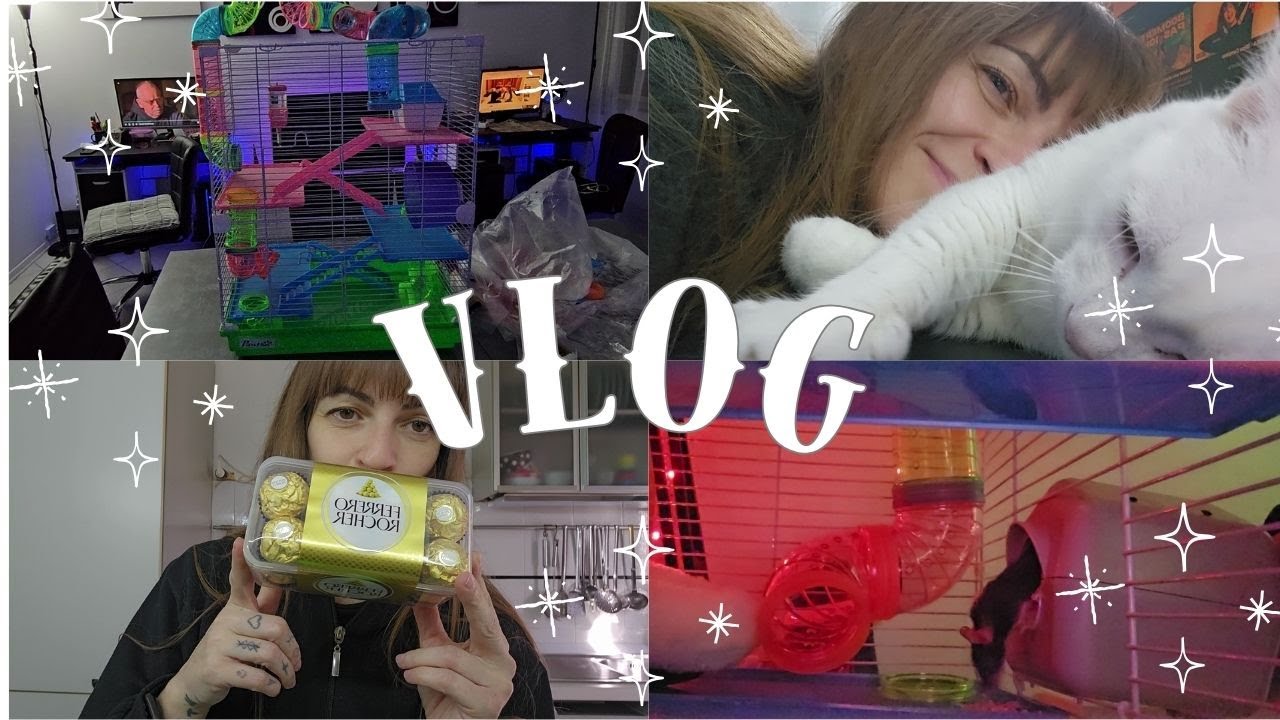 Casetta nuova per il topolino ✨ Vlog