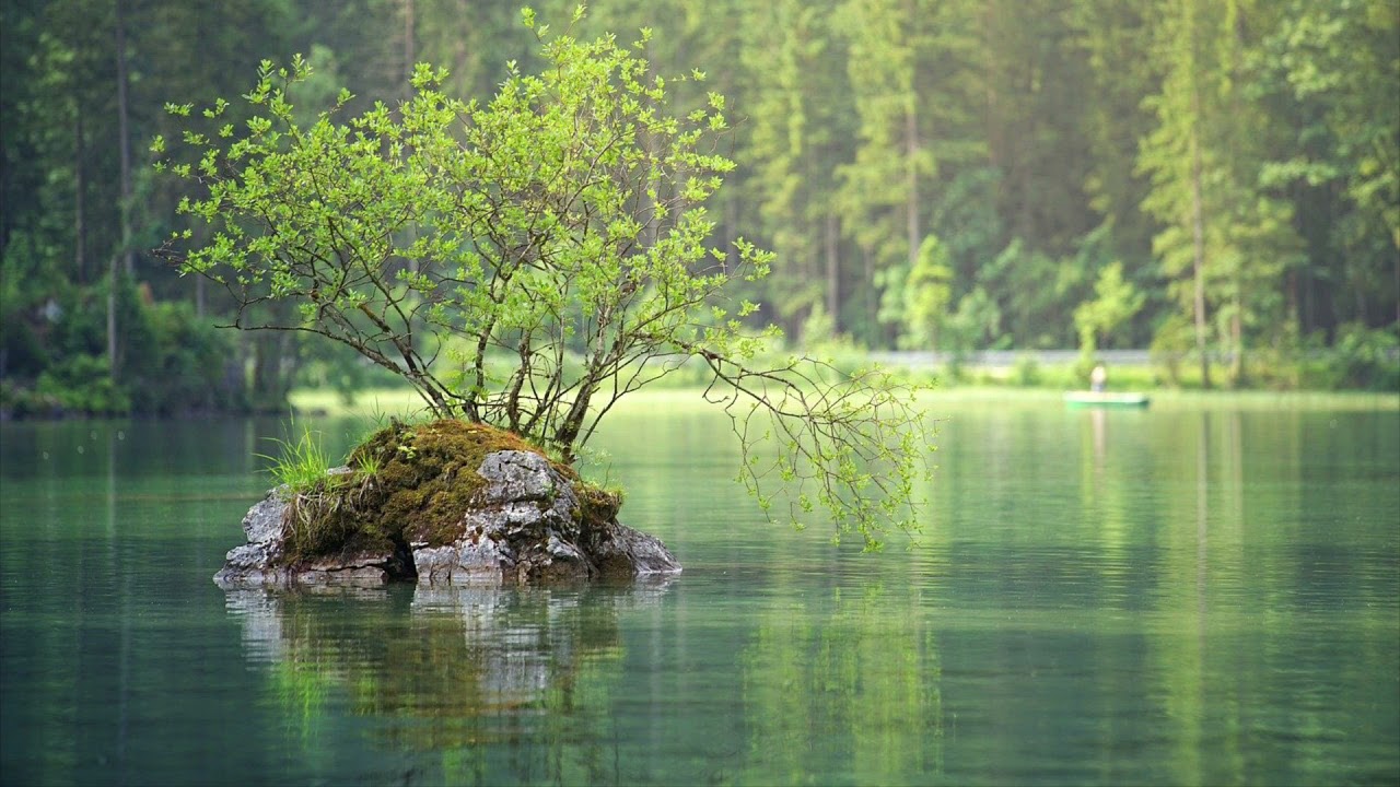 «ВОЙДИ В ПОТОК»🌊🌊🌊🌊🌊