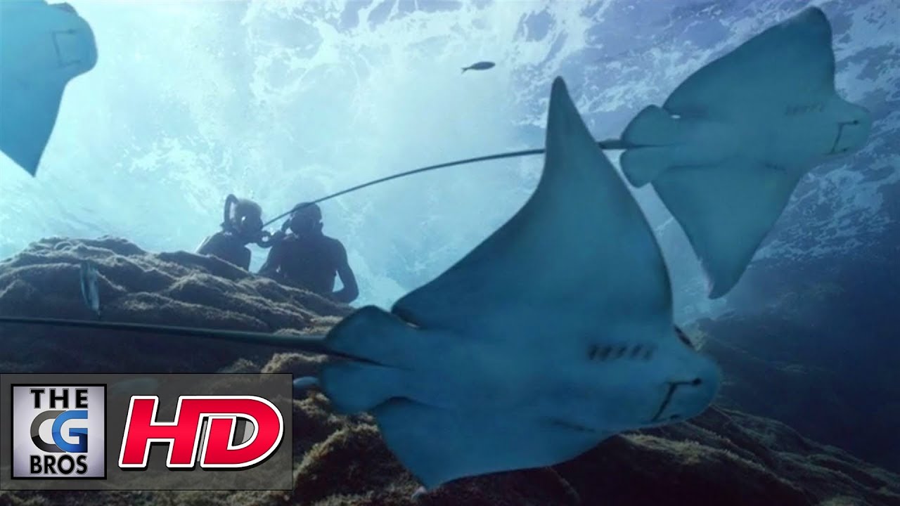 CGI 3D/VFX Studio Showreel: 