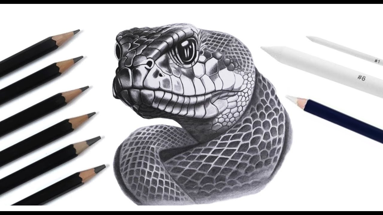 How to Draw a Realistic Snake | Graphite Pencil Art