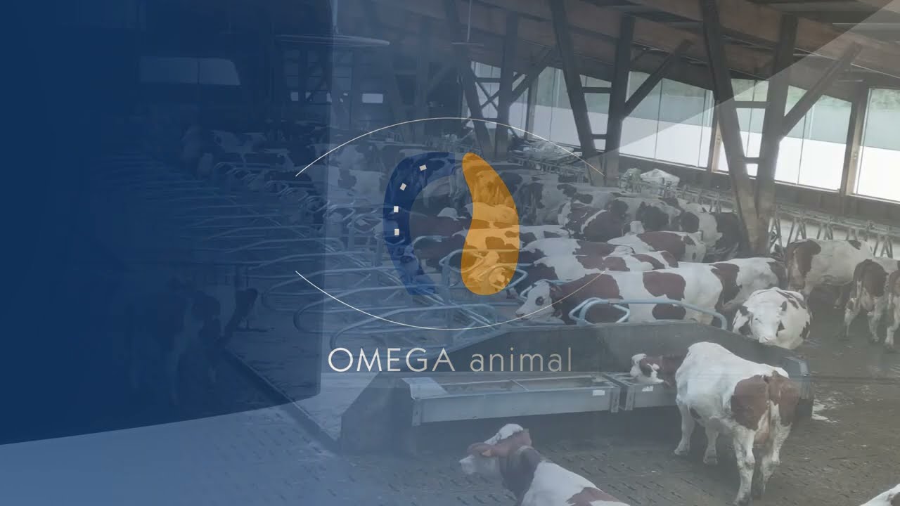 OMEGA ANIMAL - Changer ses logettes!