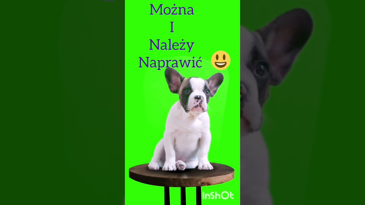 @Problem z Psem - można , i należy temu zaradzić.