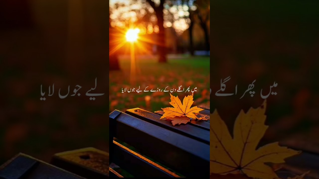اجمل رضاقادری کابہت ہی خوبصورت بیان ہےمکمل لازمی سنیں ایسےاور بیان سننےکے لیےچینل کوسبسکرایٔب کریں 