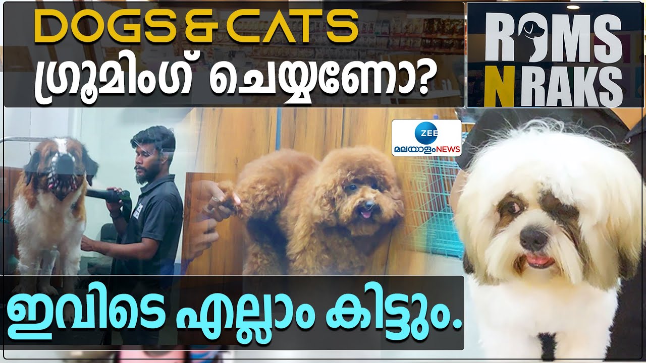 Roms N Raks Pet Store Grooming Parlour | PETSനെ വളർത്തുന്നുണ്ടോ? അറിഞ്ഞിരിക്കണം ഇക്കാര്യങ്ങൾ