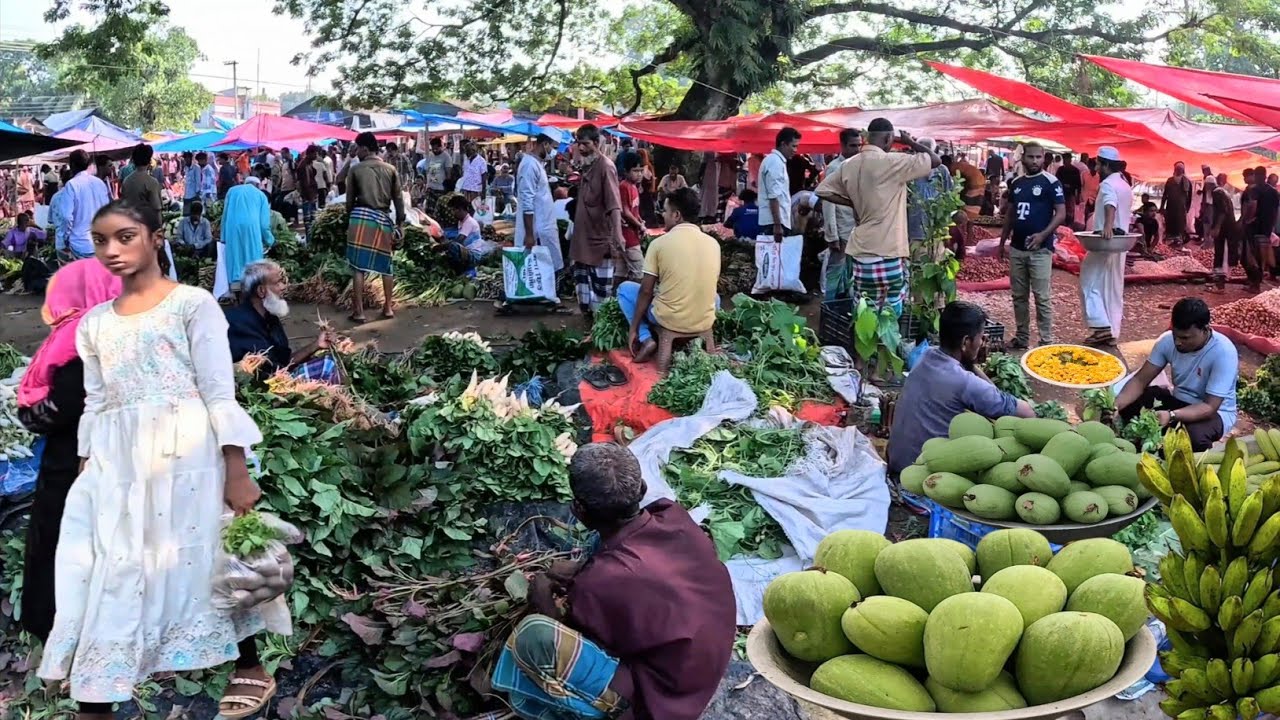 ভালুকার মল্লিকবাড়ী হাট এখনো টিকে আছে আগের মতই || Old village market in Bangladesh ||