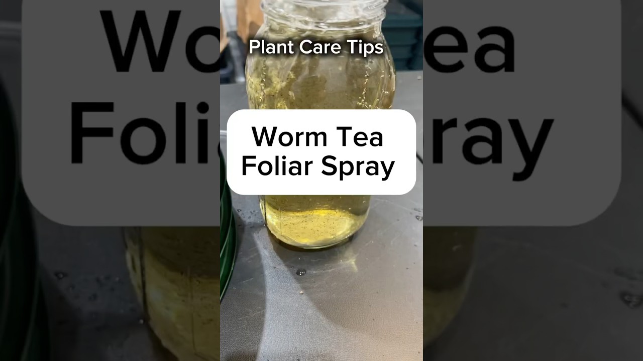 Plant Care Tips- Worm Tea Foliar Spray From Worm Castings #plantcare