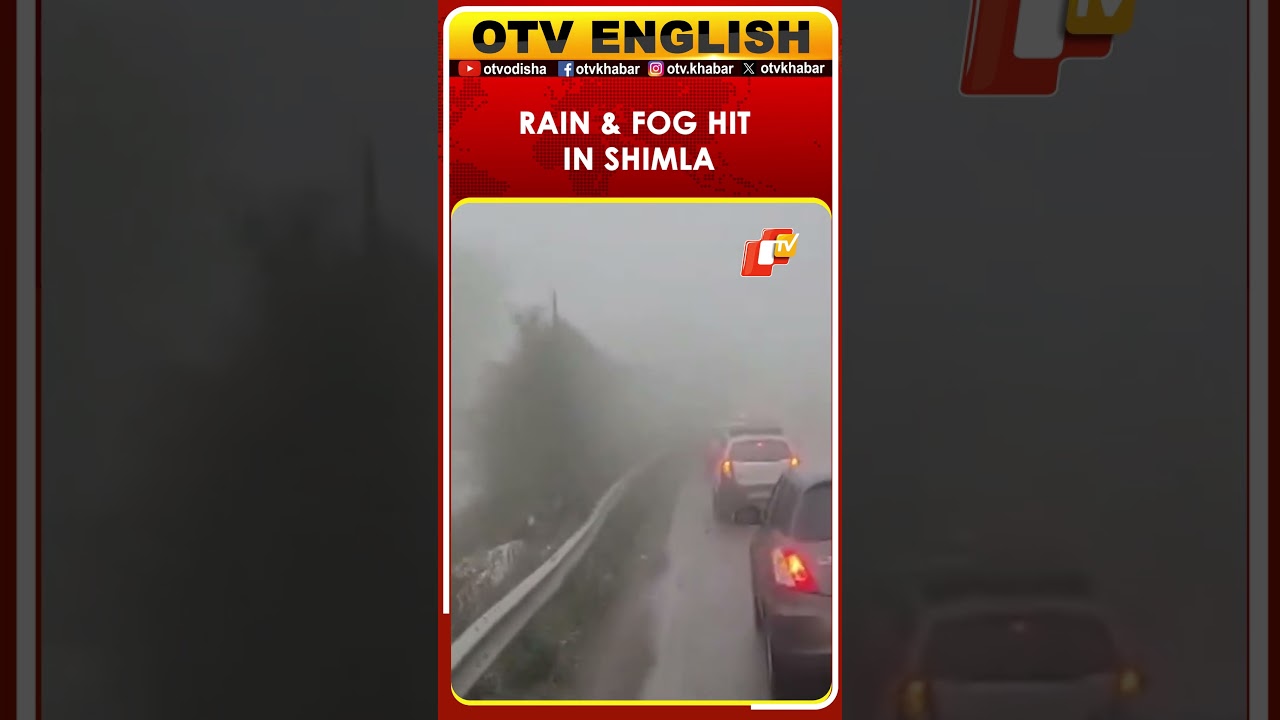 Rain And Dense Fog Grip Parts Of Shimla | Himachal Pradesh