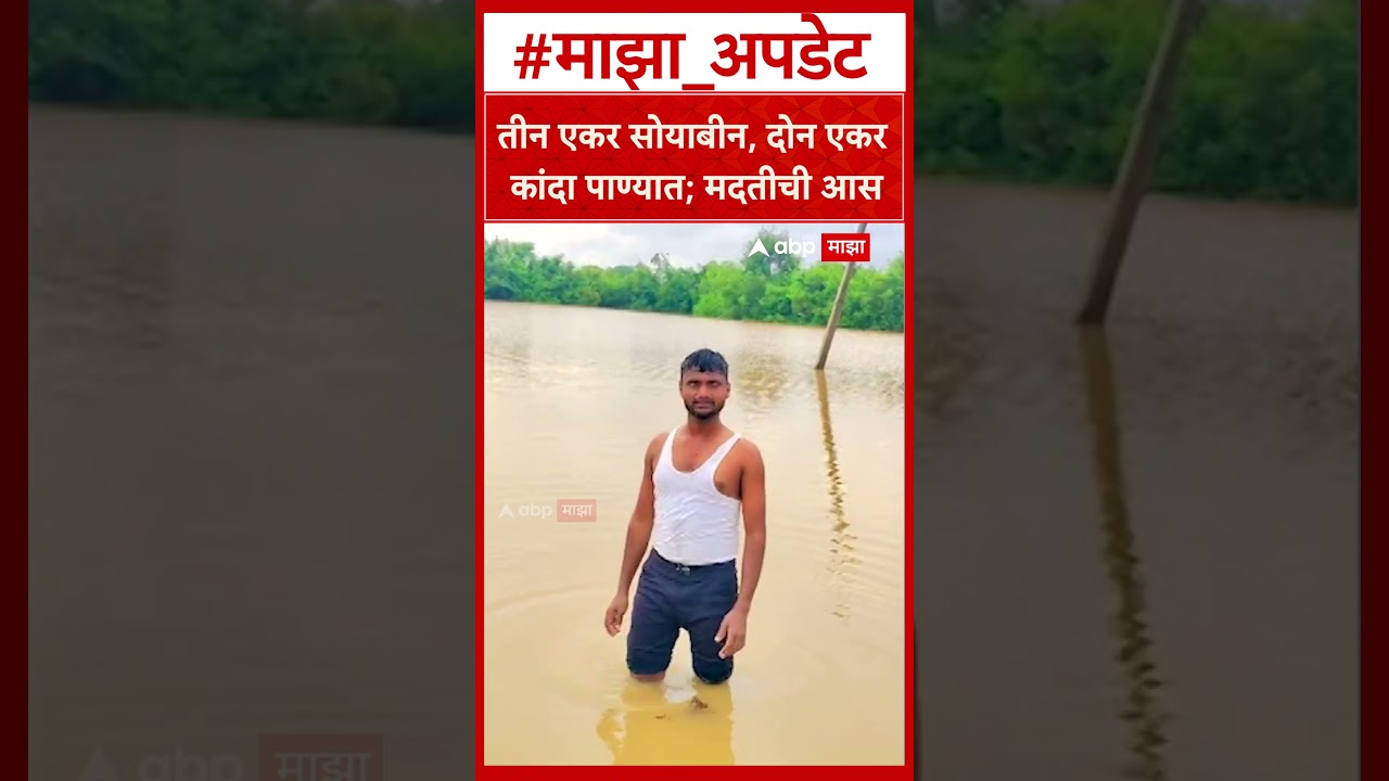 Solapur Rain : तीन एकर सोयाबीन, दोन एकर कांदा पाण्यात; मदतीची आस