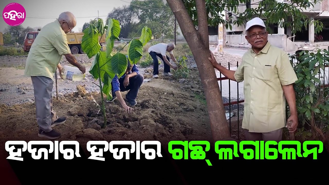 Rourkela News: ତିନ୍ ଜନ୍ ପ୍ରକୃତି ବନ୍ଧୁ ସାଜିକରି ସବୁନେ ଗଛ୍ ଲଗଉଛନ୍ ଜୀବନ୍ ବଂଚଉଛନ୍