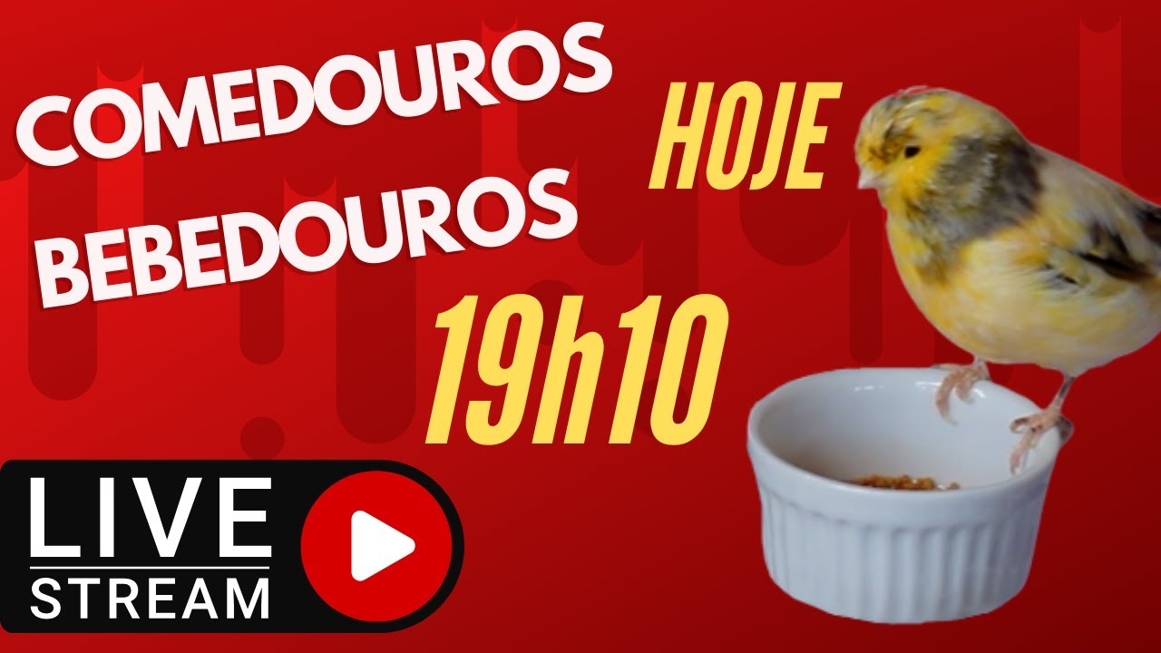 COMEDOUROS / BEBEDORES PARA CALOPSITA