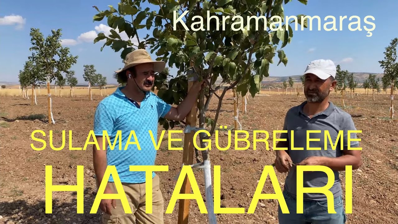 SULAMA VE GÜBRELEME HATALARI