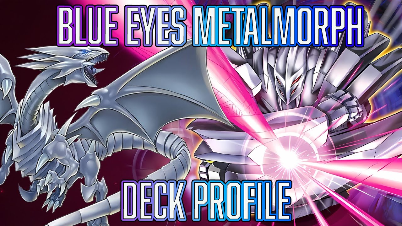 Yu-Gi-Oh! Blue Eyes White Dragon Metalmorph SUPER BUDGET Deck Profile