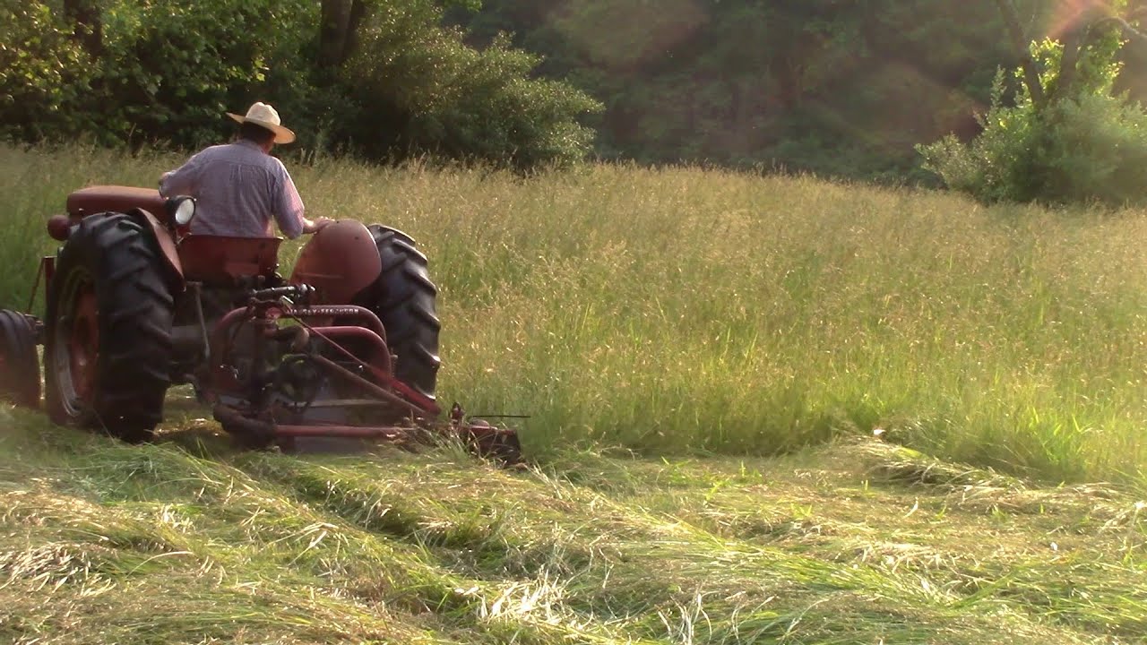 Cutting Hay the Antique Way - Sickle Bar Mowing Long Play - MF 50 Diesel, & 32 Pitman Sickle Mower