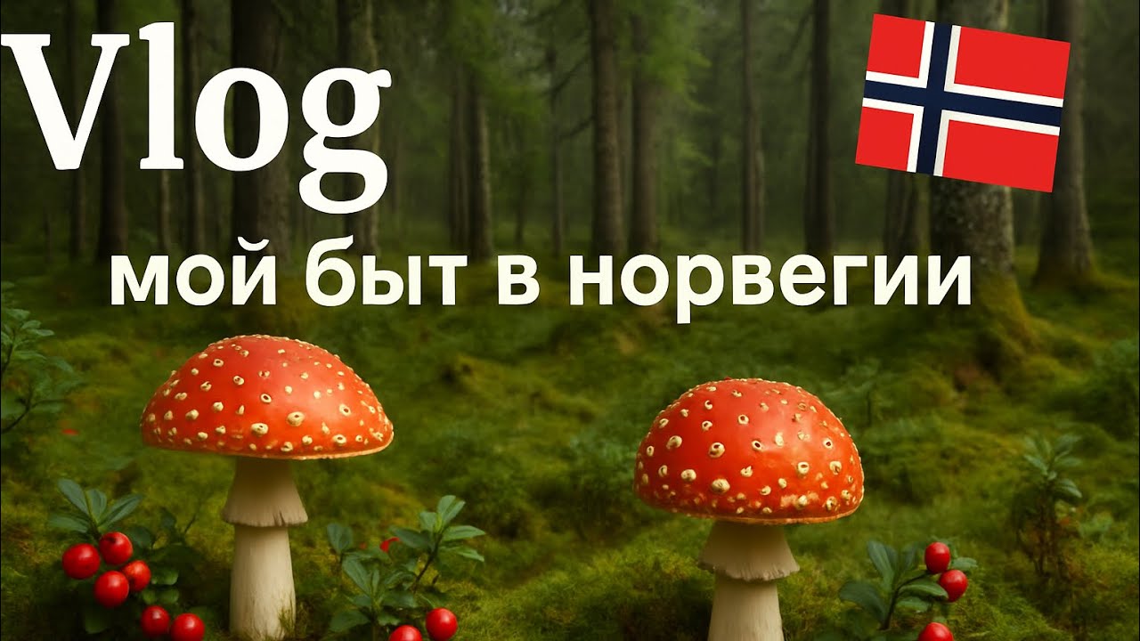 16.07 Богатство норвежского леса 🌳