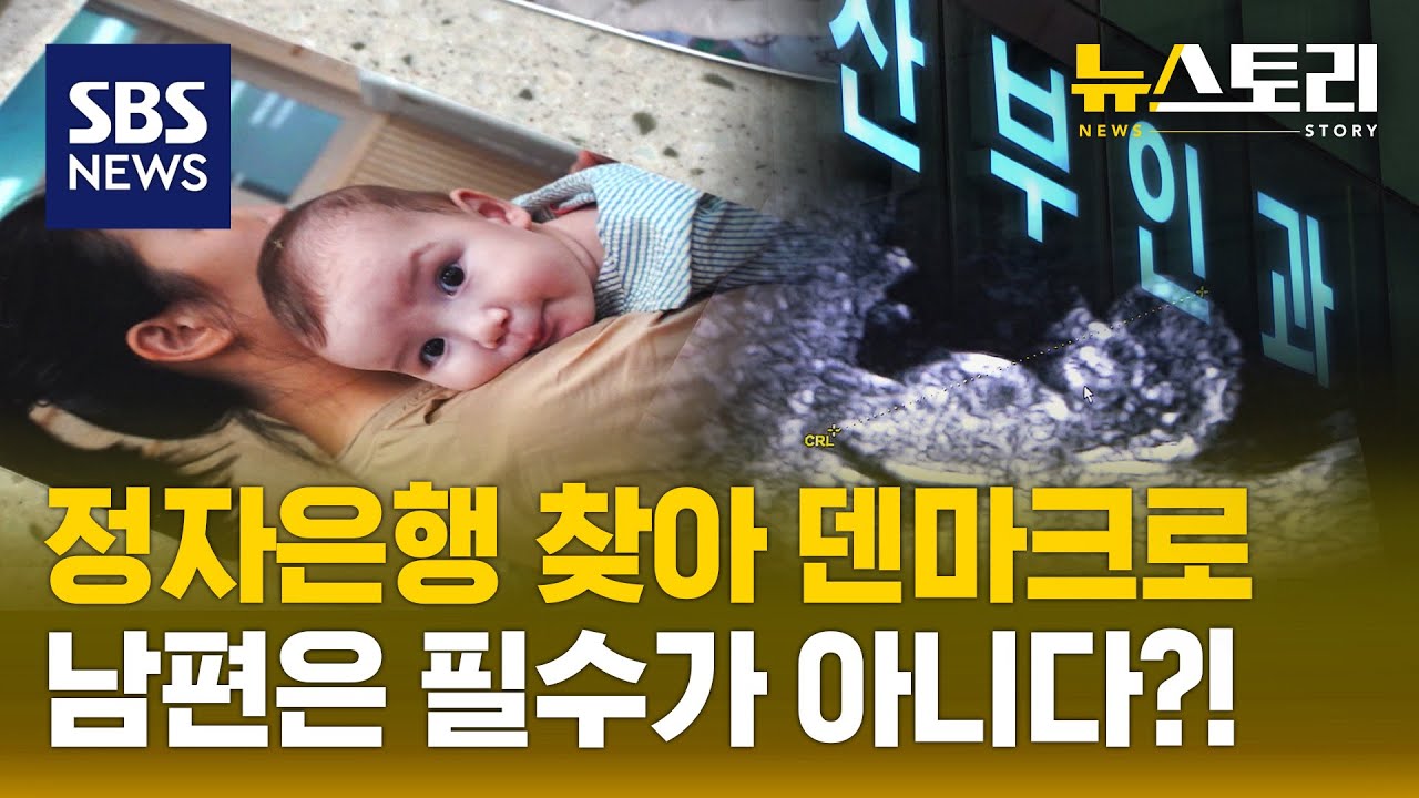 결혼 NO! 출산 YES! 혼자서 부모가 된 사람들 (뉴스토리) / SBS