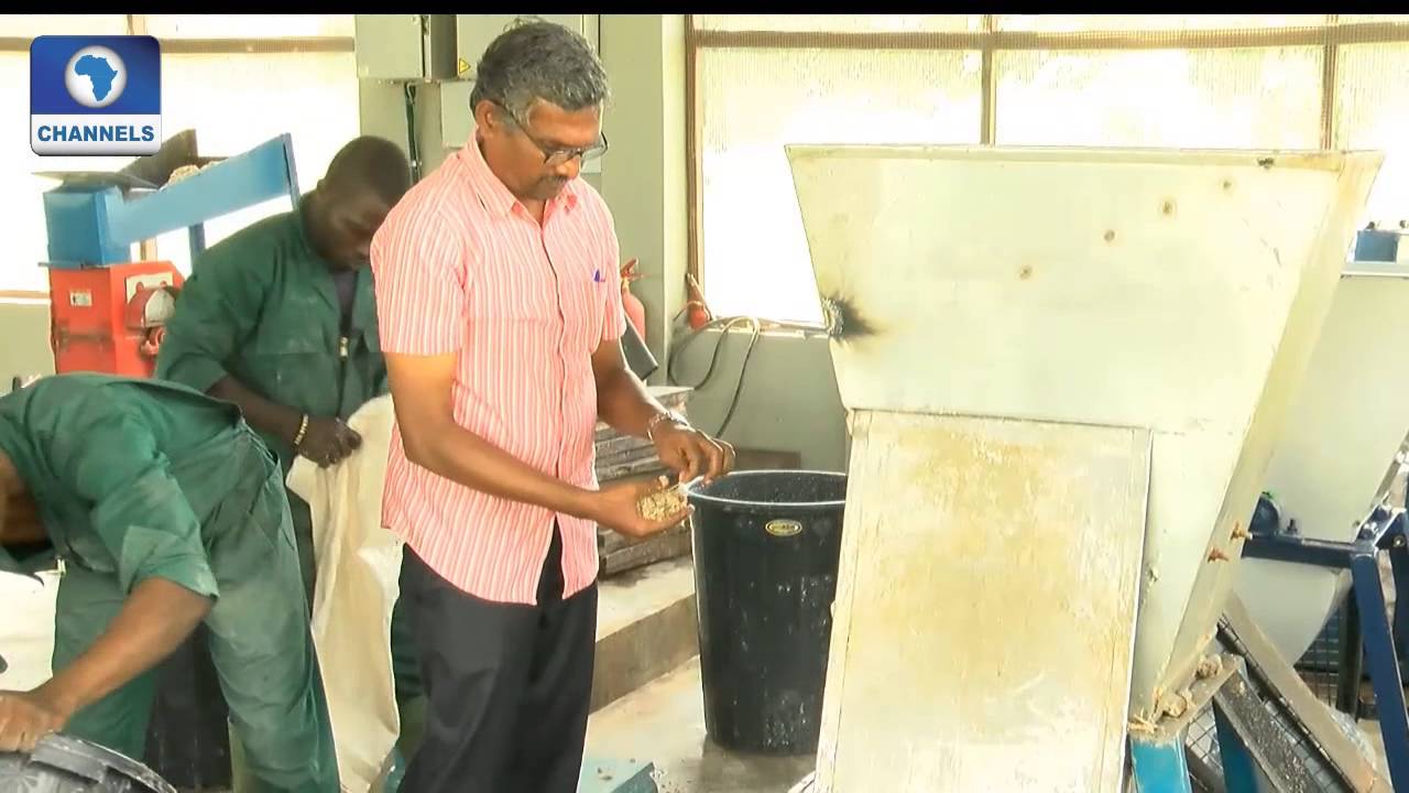 Earthfile Focuses On Making Better Use of Cassava Waste (PT2) 03/07/15