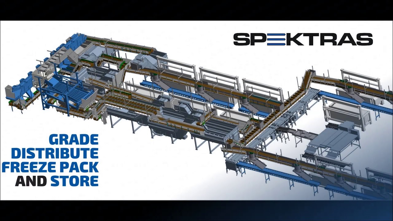 SPG18 TV fish processing