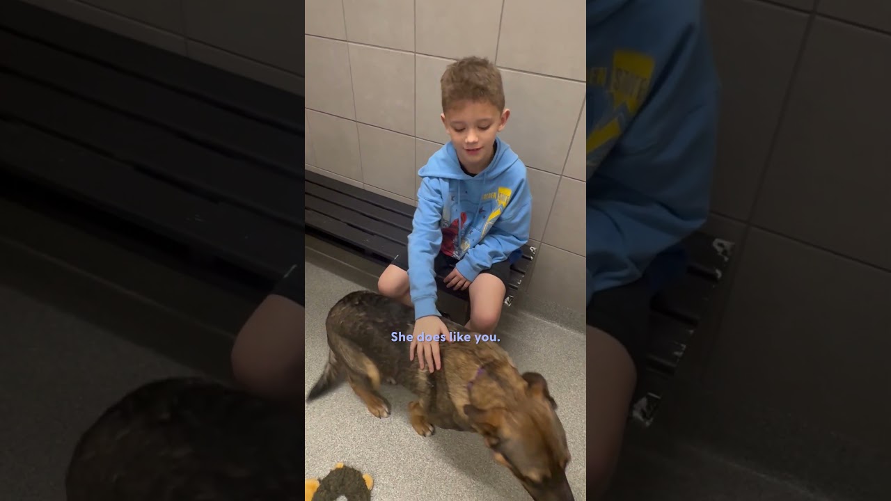 Dad Takes His Son To The Shelter Insisting They Can't Get A Dog | The Dodo