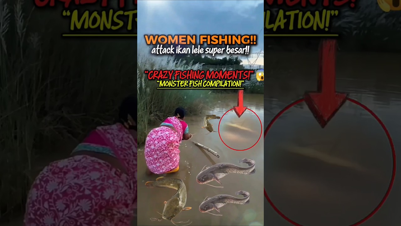 Самые БЕЗУМНЫЕ моменты рыбалки! 😱 Подборка гигантских рыб 🎣 #шорты #рыбалка