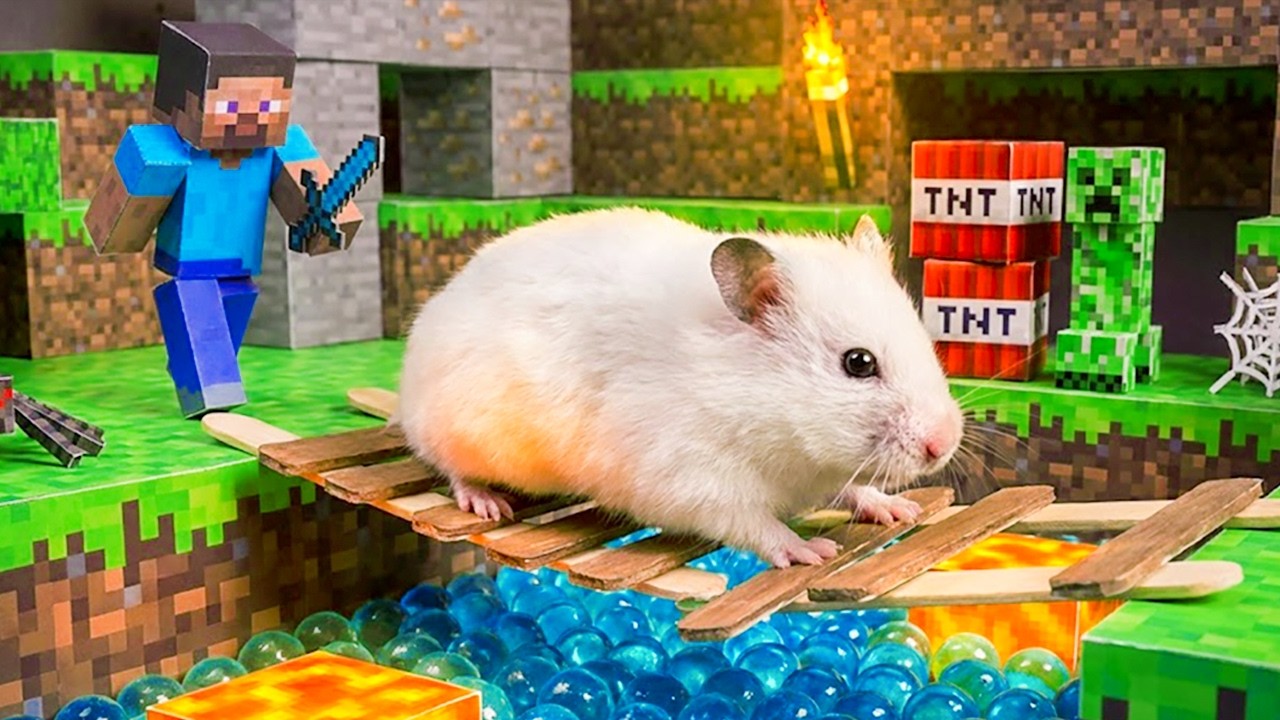 Hamster Escapes Stalker in Minecraft Maze | Hamster Maze