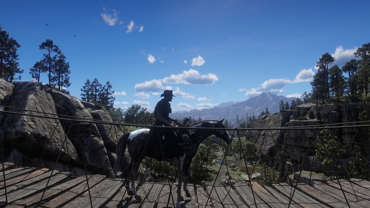 Red Dead Redemption 2 walkthrough Part 10 I Free Roam Pc Gameplay