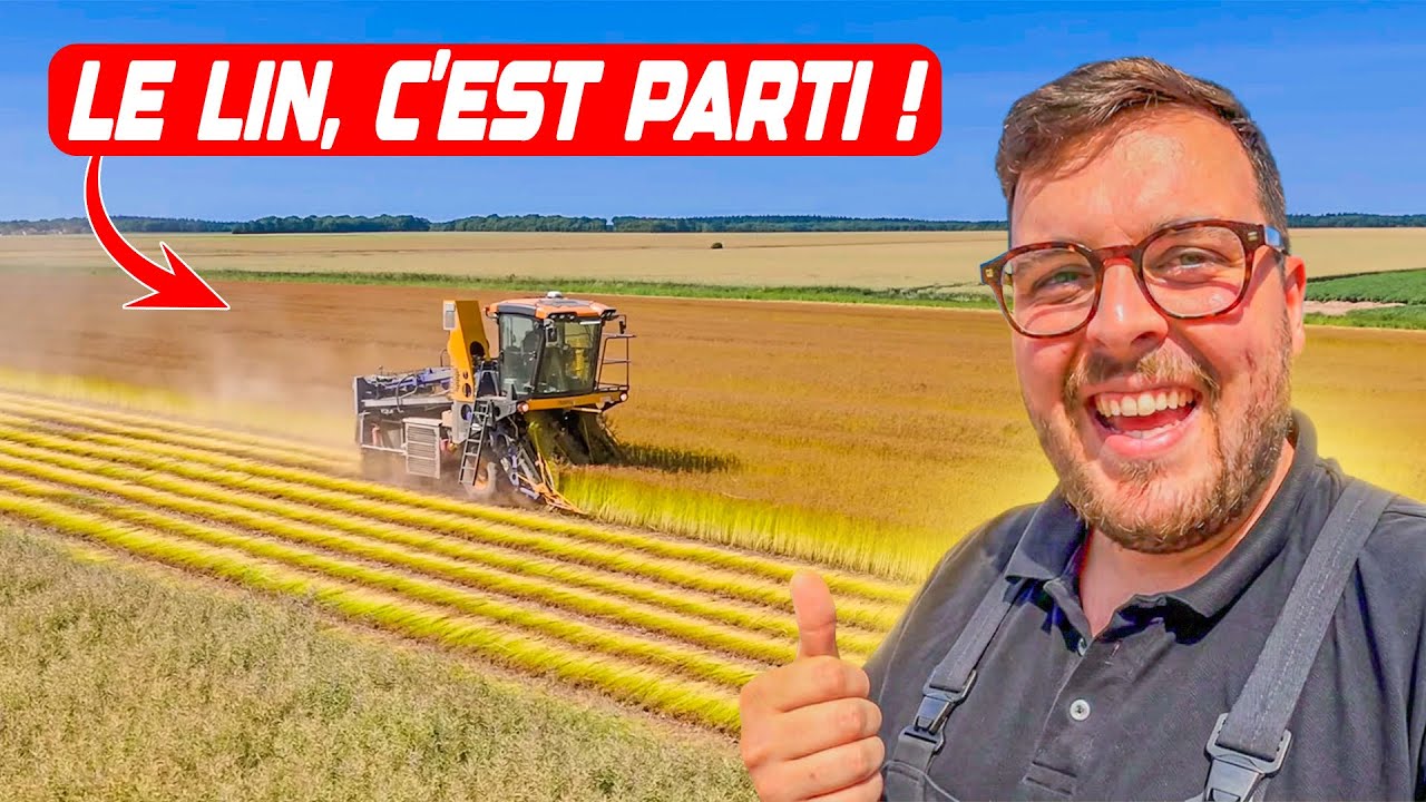 LES PREMI&Egrave;RES CULTURES COMMENCENT // LAVID'ENTREPRENEUR #104