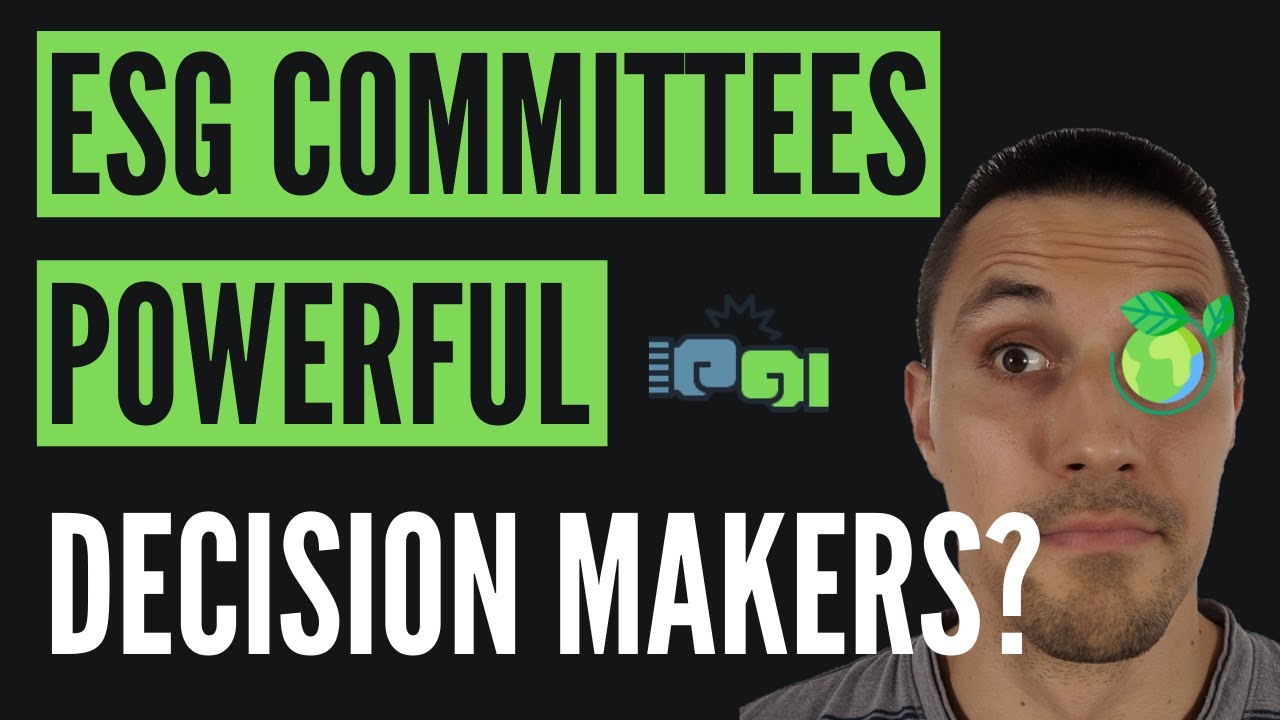 WHAT ROLE DO ESG COMMITTEES PLAY?