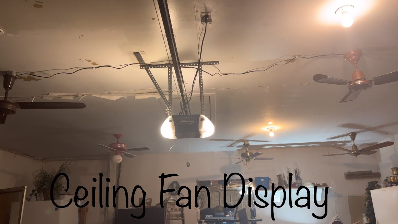 Ceiling Fan Display (3/2/23)