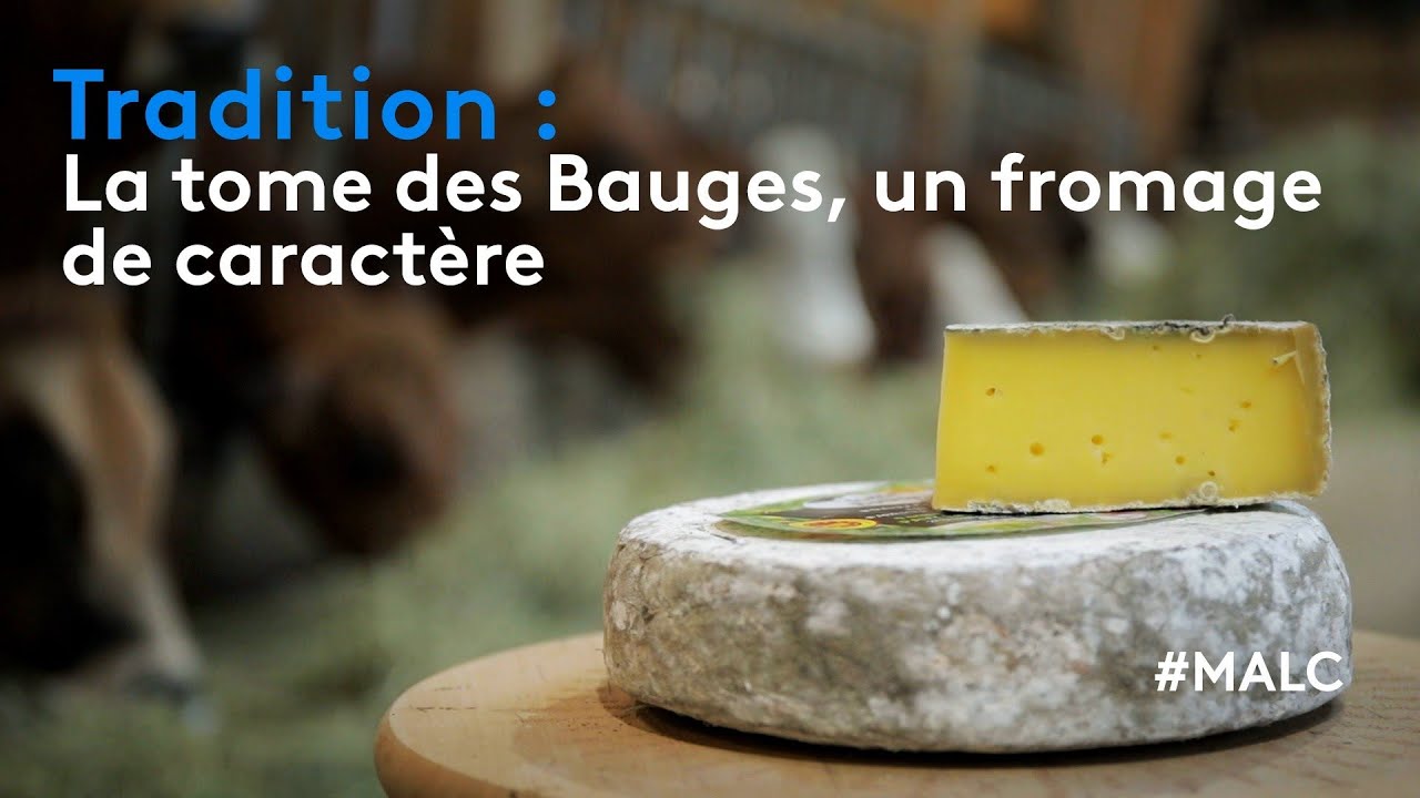 Tradition : La tome des Bauges, un fromage de caractère