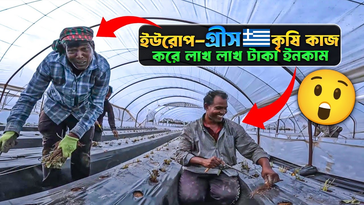 “গ্রিসে বাংলাদেশিরা কি কাজ করে? 🇬🇷 ঘণ্টায় €৫ ইনকাম! | Real Life in Greece 2025”
