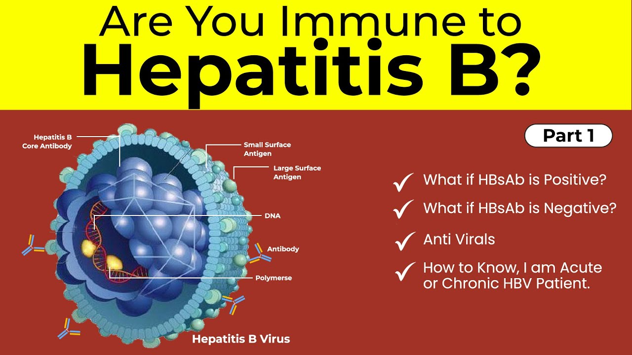 Are You Immune Hepatitis B? Part1 | Hepatitis B Australia Antigen | Chronic Hepatitis B