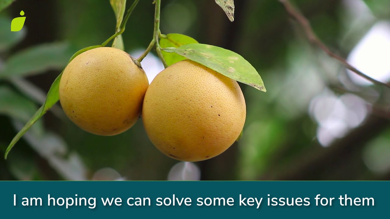 A Crop Quality tool that saves you time and reduces waste