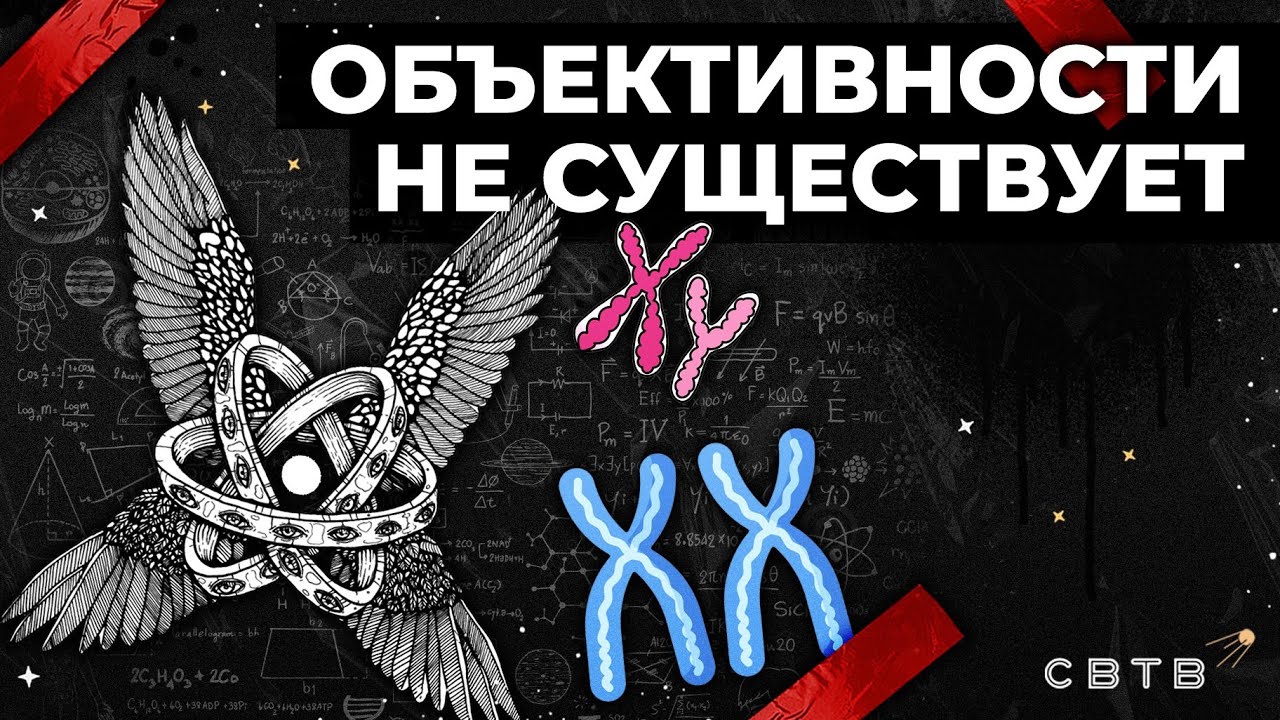 Объективности не существует // Хайлайты Михаила Светова