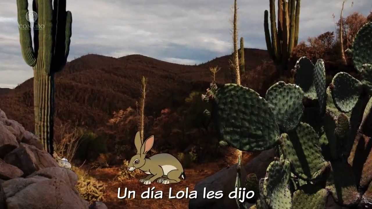 11. La Liebre Lola. Matorral