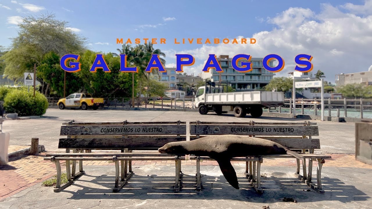 GALAPAGOS 🤿 Diving Trip November 2023