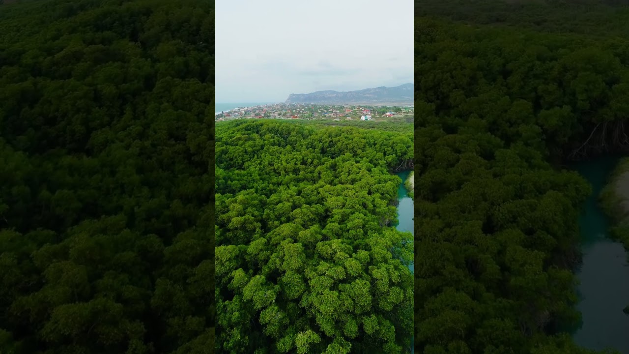 Desde otra perspectiva! 