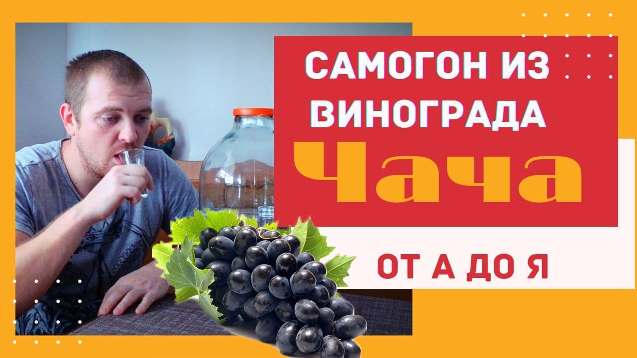 Делаю Ароматный Самогон из винограда (ЧАЧА) от А до Я.+ секретный ингредиент