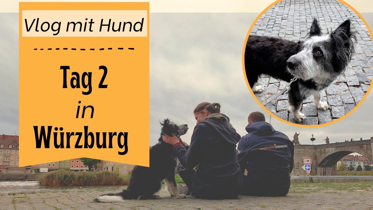 WÜRZBURG erkunden! - Mit HUND im HERBST! Vlog 2/2