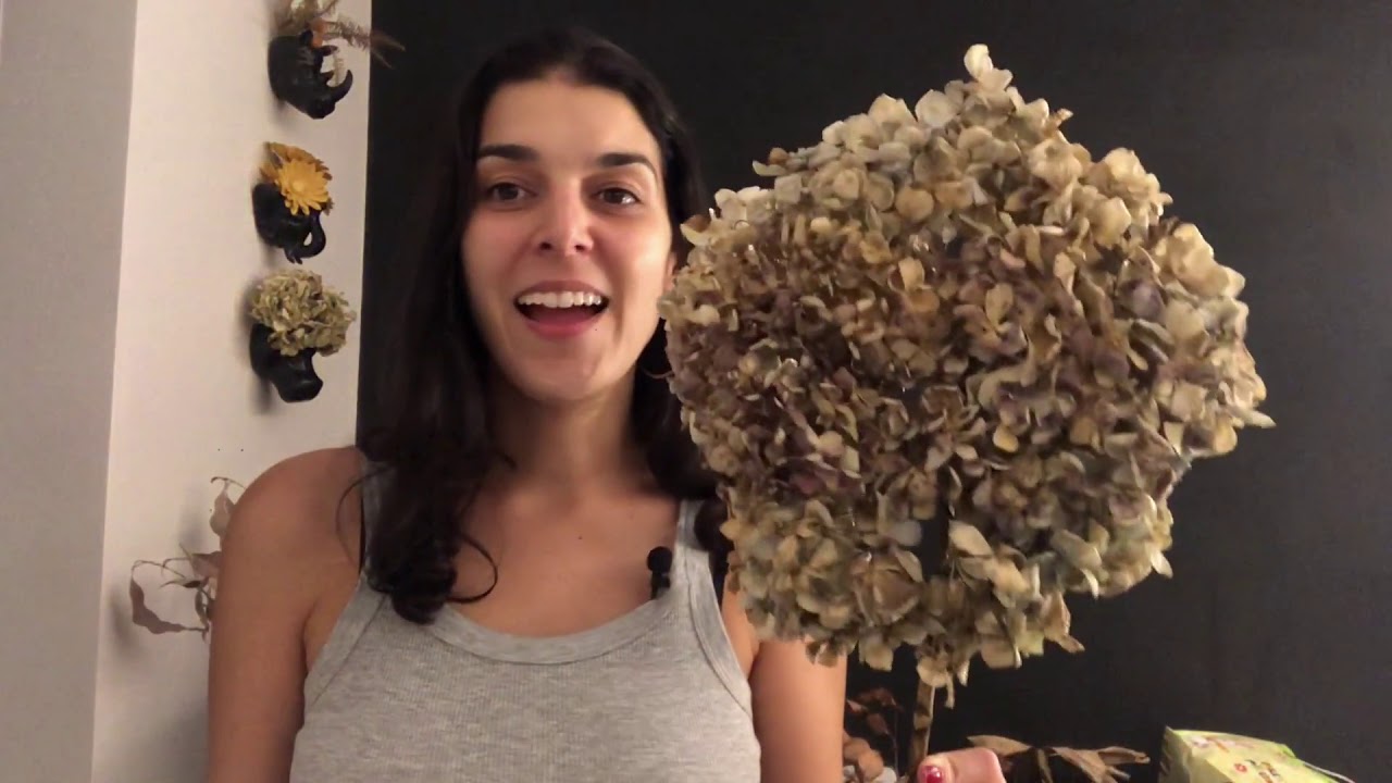 Floriana Flor- Como eu seco folhas e flores