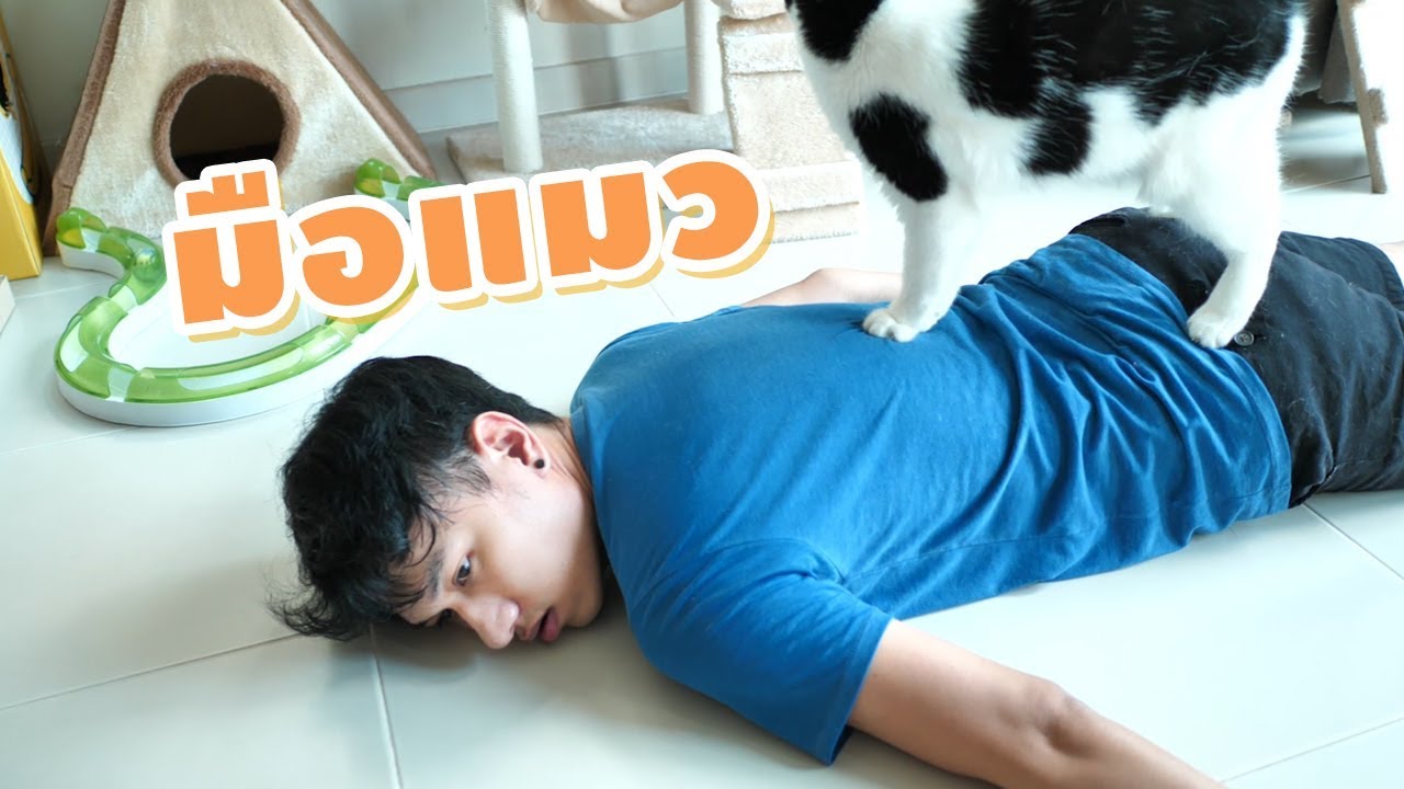 เพลง มือแมว (Cover จากเพลงมือปืน)