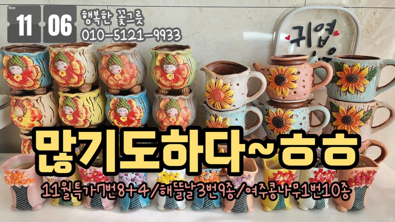 다육화분싸게파는곳 👉🏻 행복한꽃그릇 010.5121.9933 푸짐해서 짝궁과 나눠쓰기 좋아요☺️