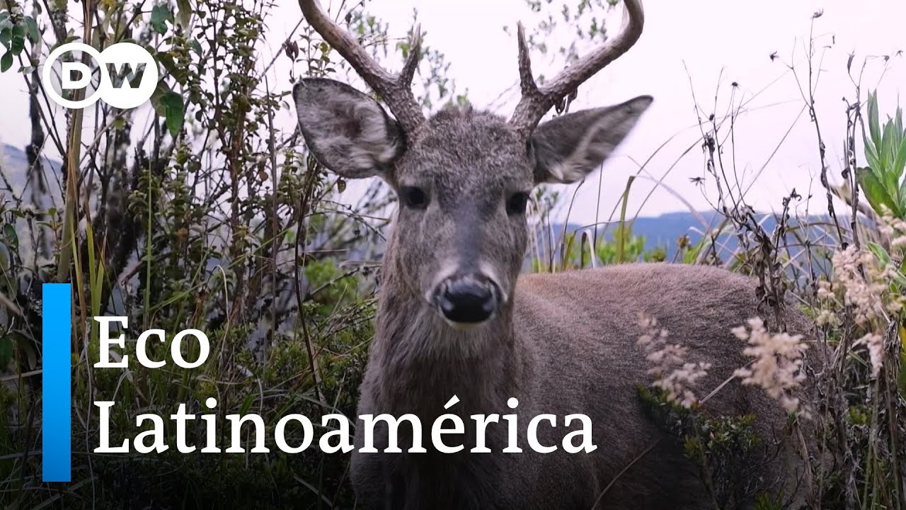 Ecosistemas: termómetros del cambio climático. Programa completo