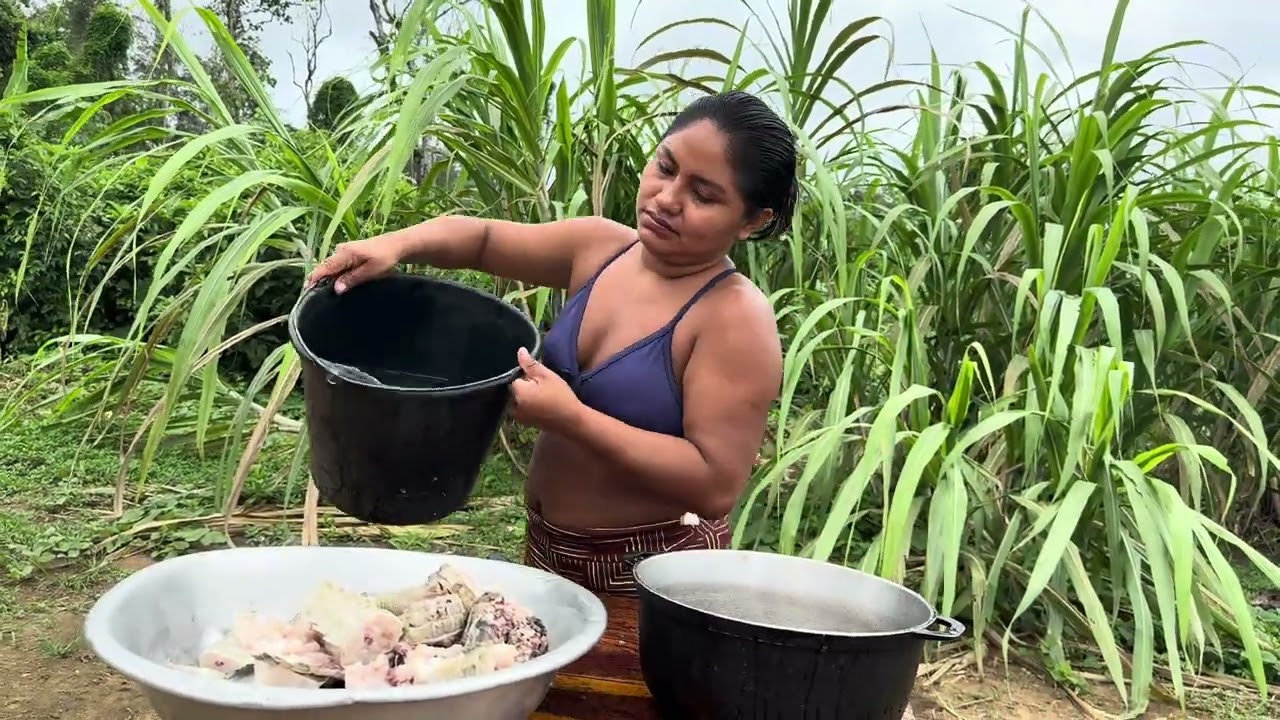 Alimento típico dos povos Indígenas da Amazônia 