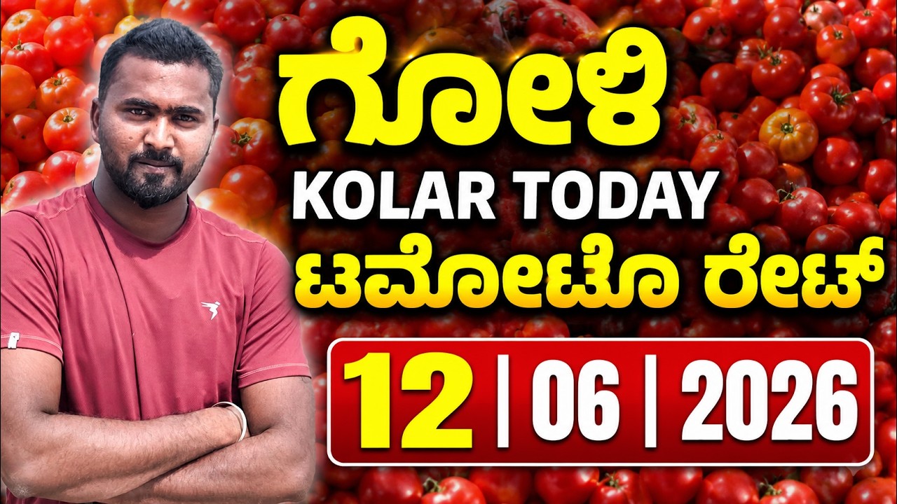 ಗೋಳಿ (Goli)  Kolar today tomato rate 12/06/2026 ಕೋಲಾರ ಟಮೋಟ ಮಾರ್ಕೆಟ್ ಇವತ್ತಿನ ಬೆಲೆಗಳು..?