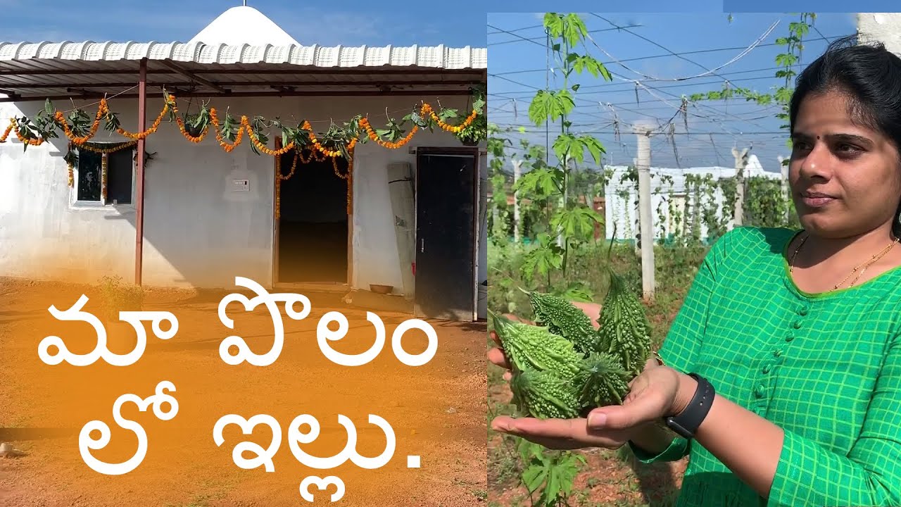 మేము వారాంతాల్లో పొలం లో చేసే పని/మా పొలం లో ఇల్లు.