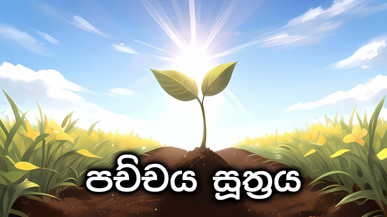 පච්චය සූත්‍රය (පූජ්‍ය අලව්වේ අනෝමදස්සී ස්වාමීන්වහන්සේගේ දේශනාවක් ඇසුරෙන්)