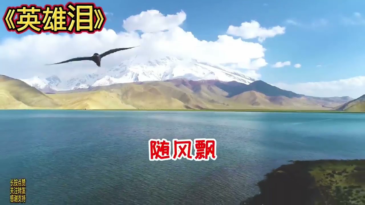 经典动感DJ《恋曲1990》《闯码头》《你莫走》《英雄泪》《野花香